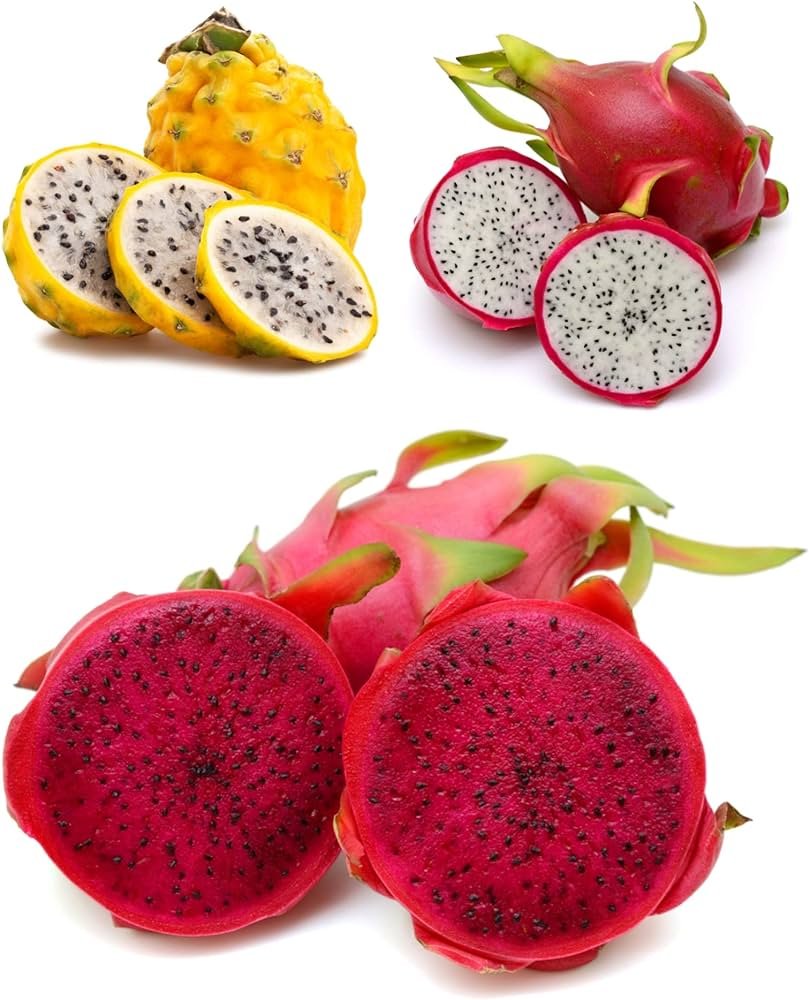 Dragon Fruit