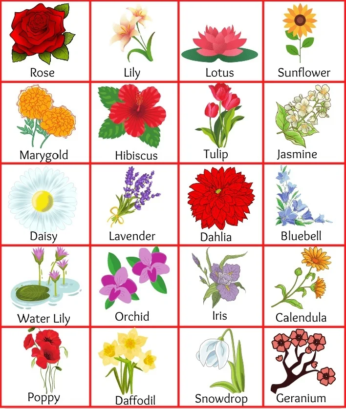 Flower name in hindi