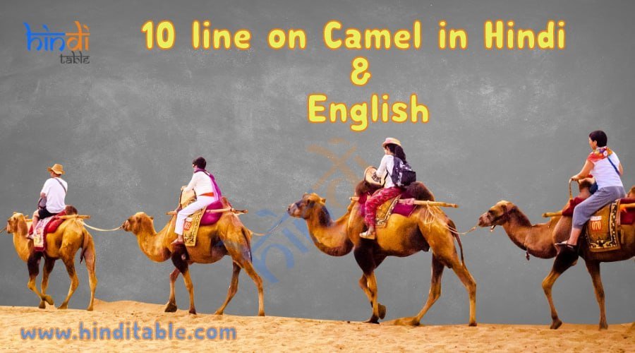 10 line on Camel in Hindi